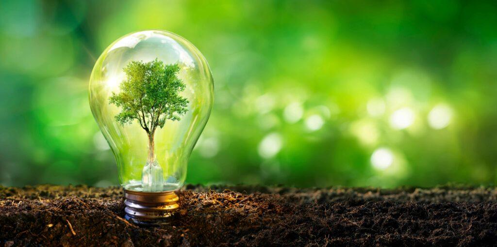 Lampe mit Baum - Ökologie Energieentwicklungskonzept